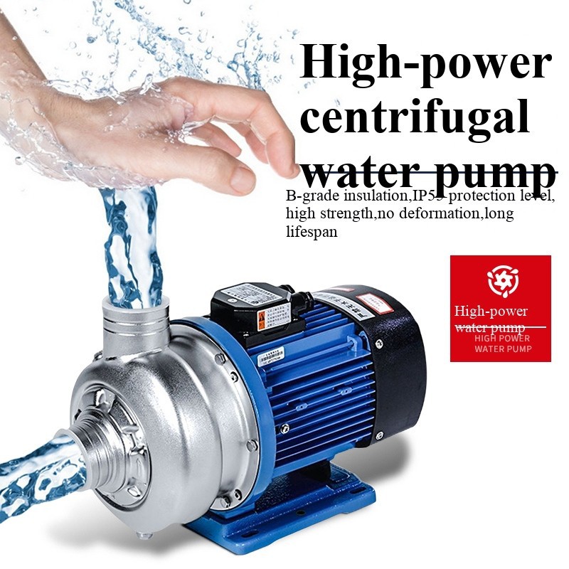 Rack Conveyor Dishwasher best